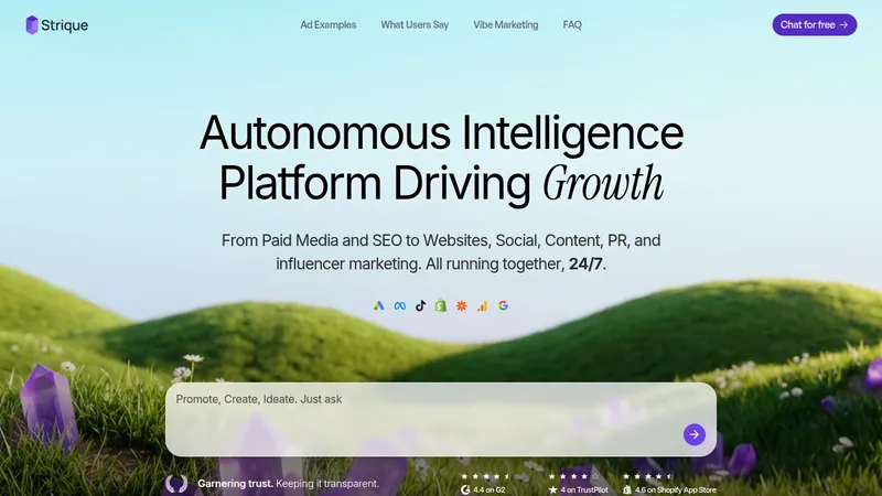 strique website