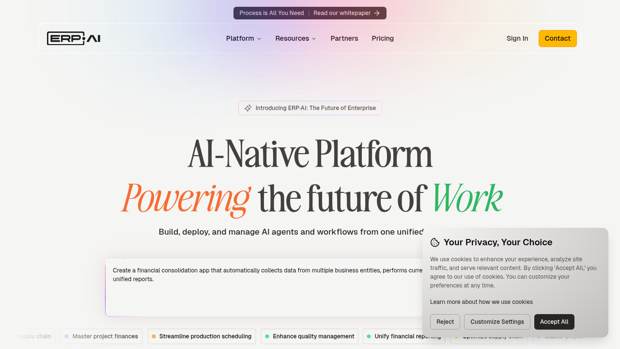 erp•ai website