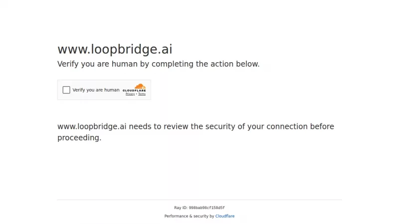 LoopBridge screenshot