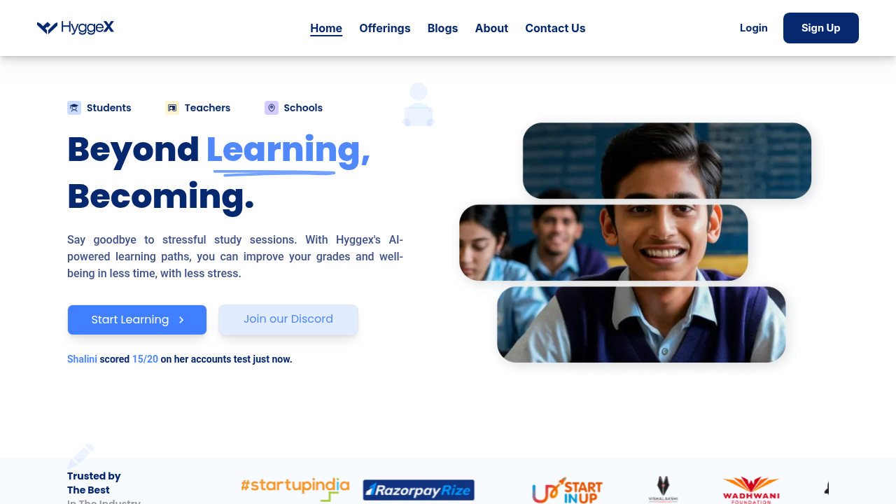 hyggex website