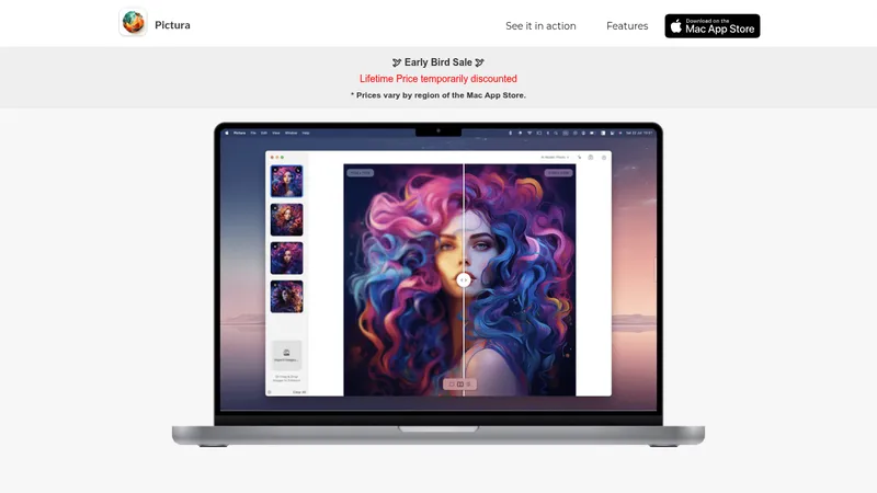 pictura website