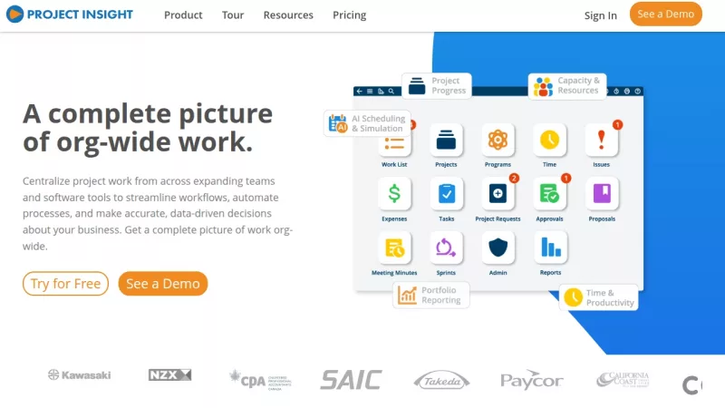 Project Insight screenshot