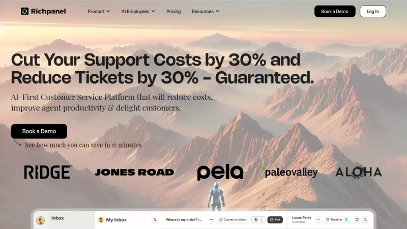 Richpanel screenshot