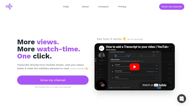 youtube transcripts website
