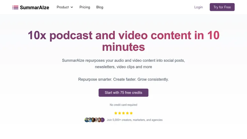 summaraize website