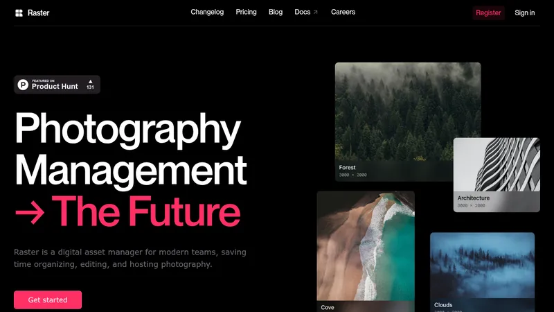 raster website