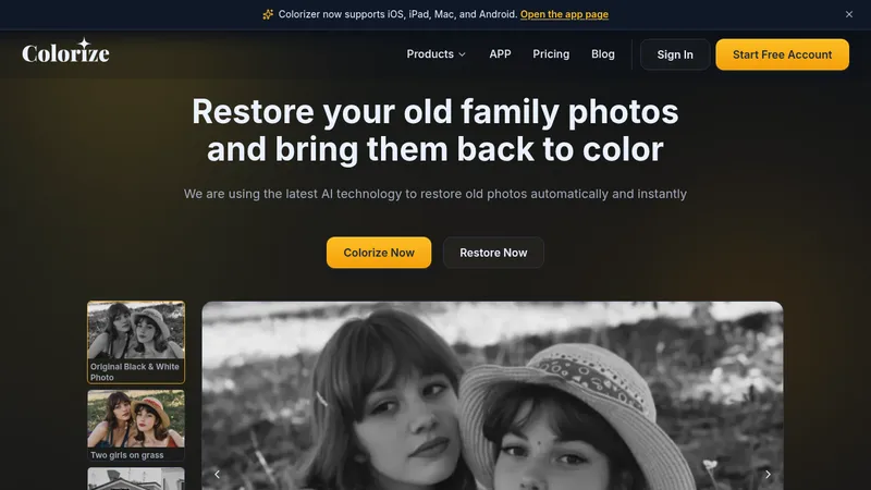 imagecolorizer website