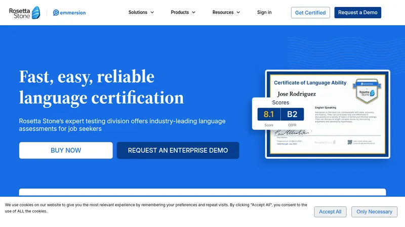 emmersion website