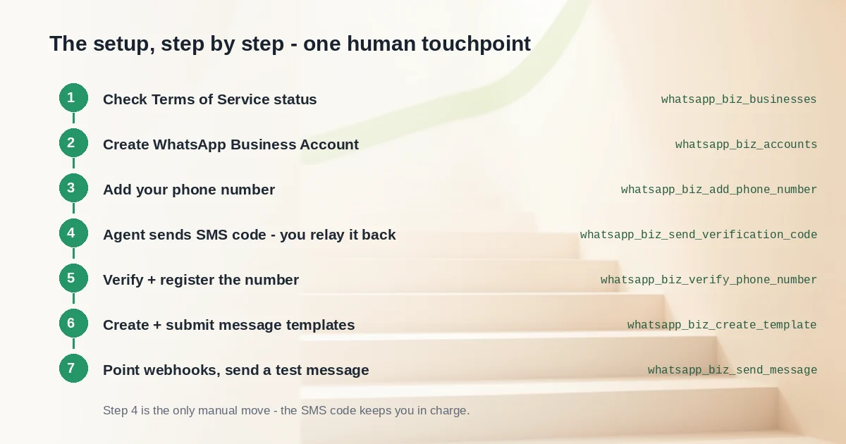 Seven-step setup flow from Terms of Service check to test message, with the whatsapp_biz_ tool used at each step