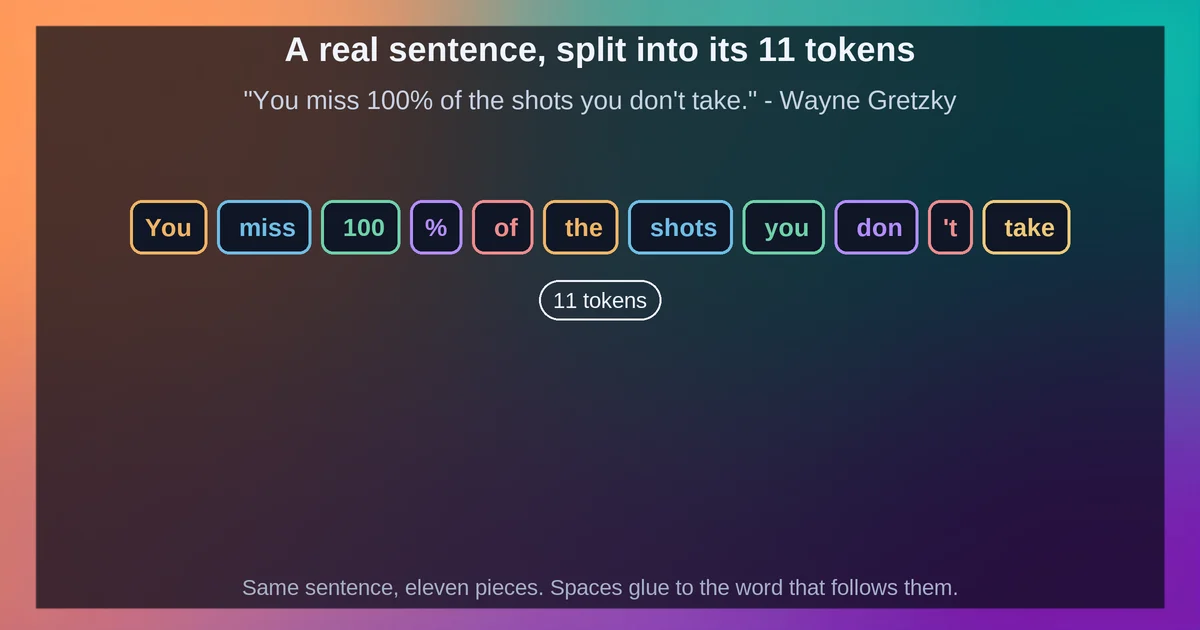 A real sentence split into its 11 verified tokens